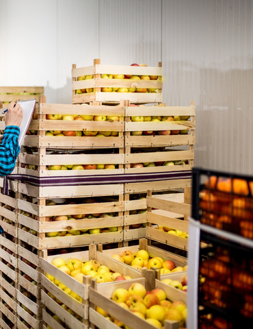 Operario en almacén hortofrutícola escaneando un palet para evitar errores de trazabilidad por lote