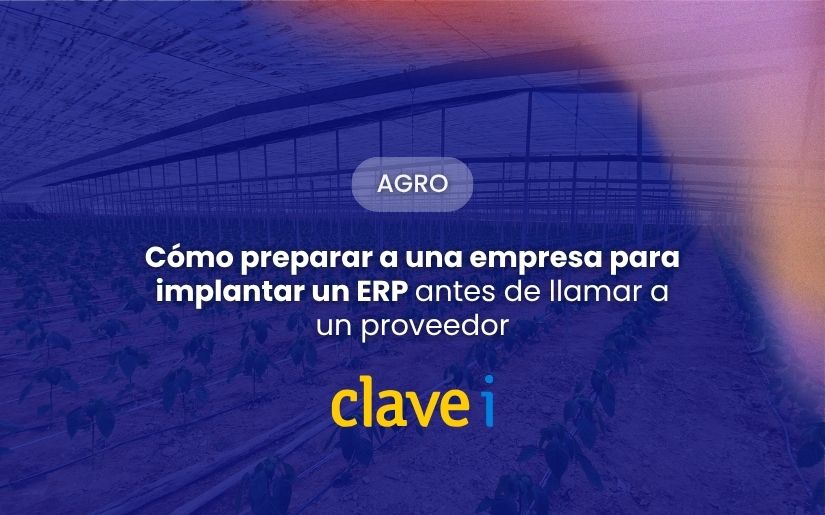 Cómo preparar a una envasadora de frutas y verduras para implantar un ERP Agro antes de llamar a un proveedor