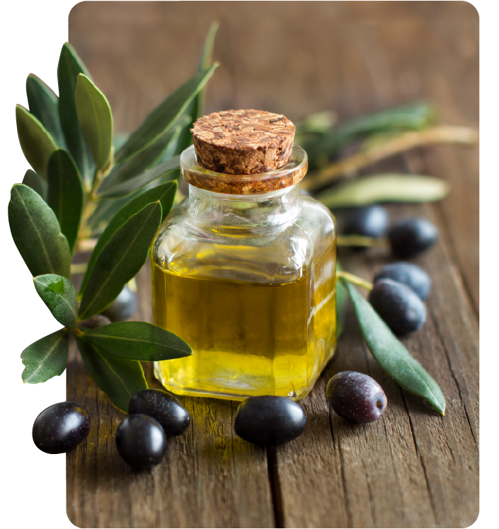 ERP para envasadoras de aceite Almazaras