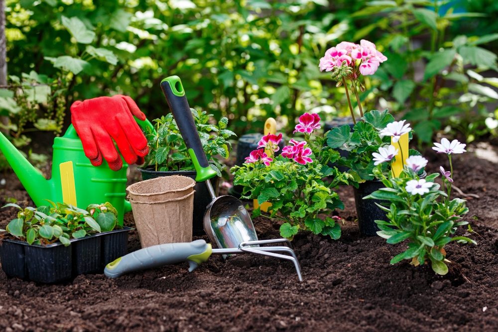 ClaveiGes ERP para garden y viveros