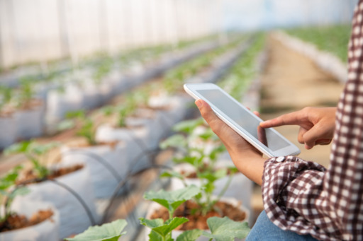 Soluciones software gestión Erp agrícola