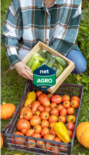 Beneficios de Mejorar la Trazabilidad con ERP con Netagro