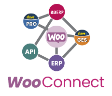 Conector Erp Woocommerce